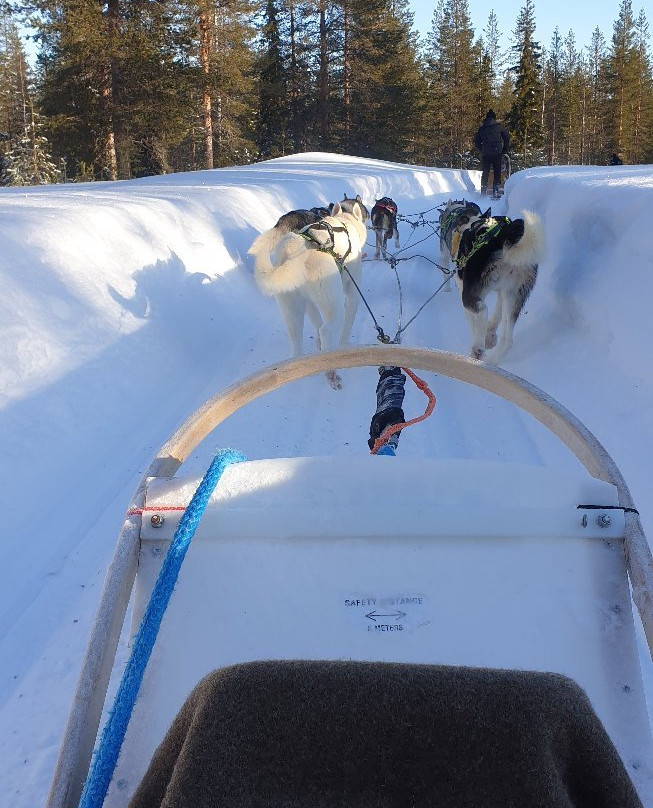 Arctic Husky Farm-Pelkosenniemi必去景点