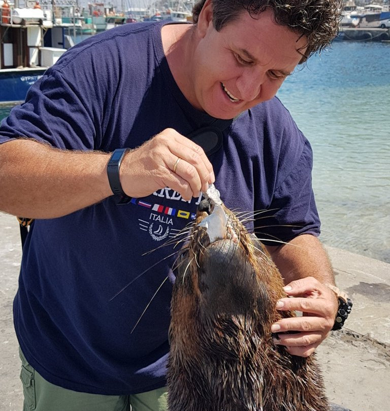 Hout Bay Beach-木湾必去景点