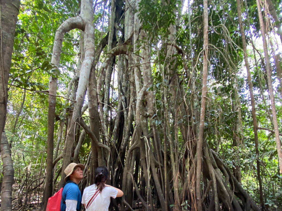 Amazon Jungle Survival Tours-伊基托斯必去景点