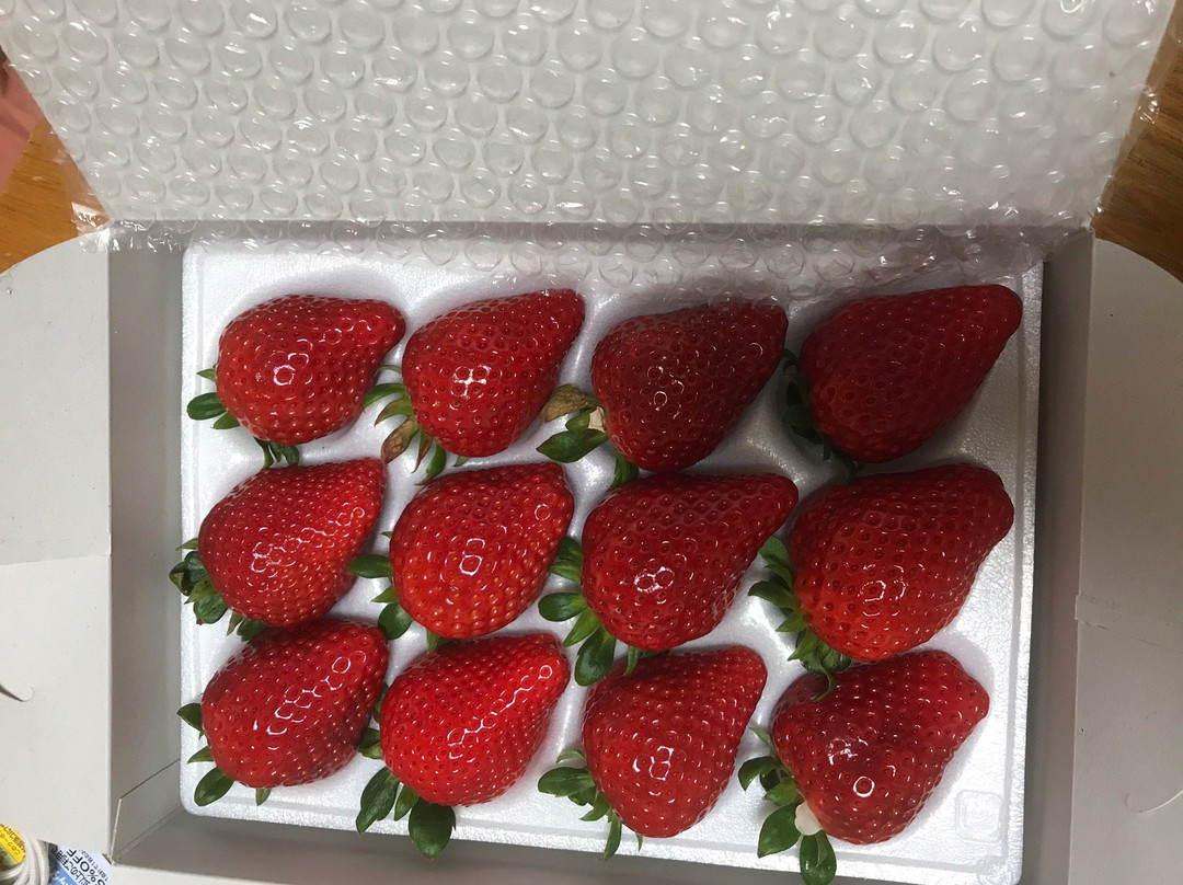 Okashinoshiro Nasu Heartland-那须町必去景点