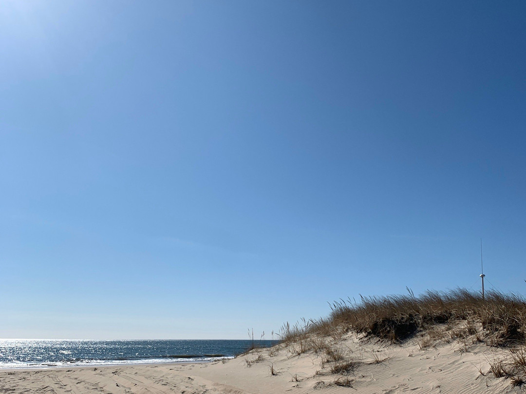 Atlantic Avenue Beach-蒙托克必去景点