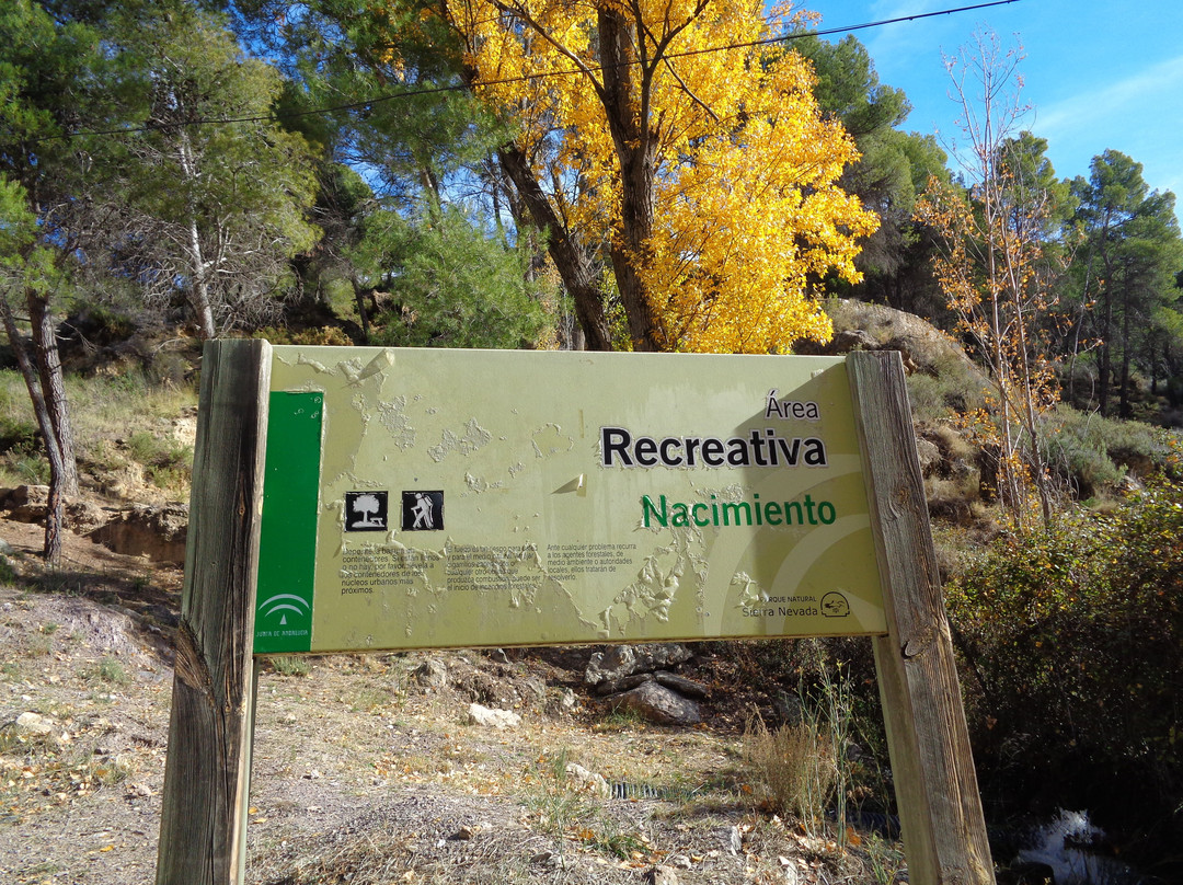 Area recreativa El Nacimiento景点图片
