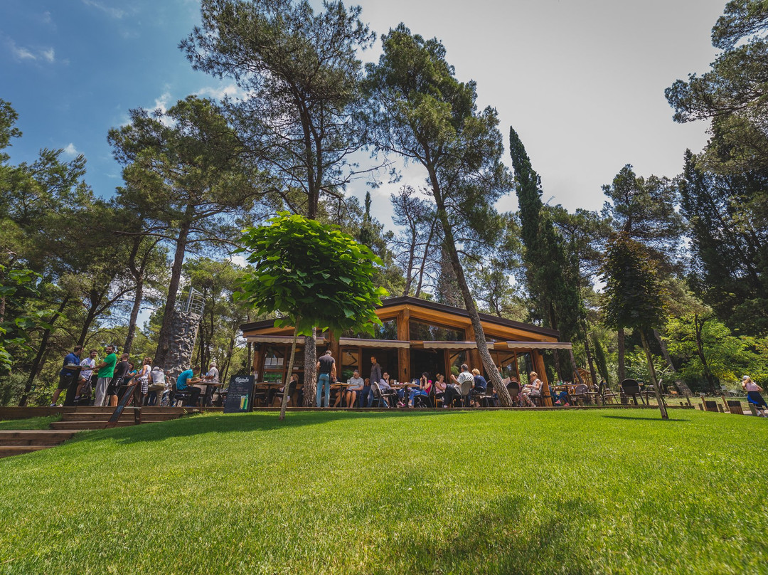 Avanturistički Park Gorica-波德戈里察必去景点