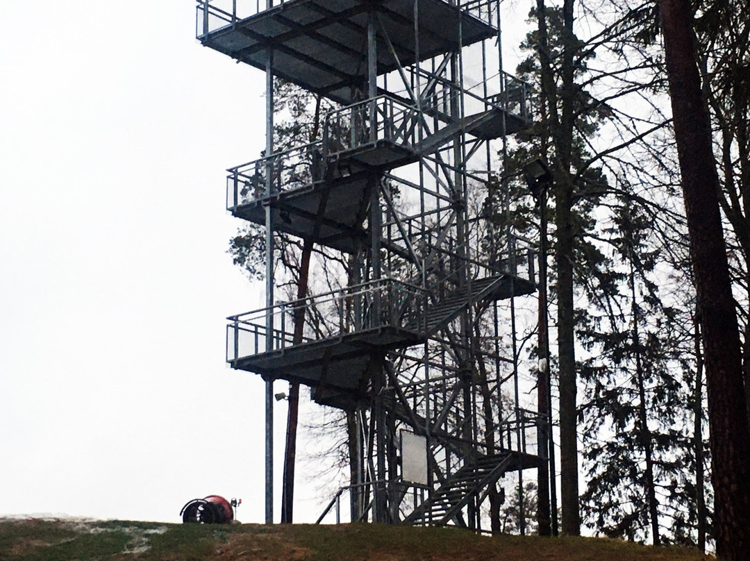 Riekstukalns Watchtower景点图片