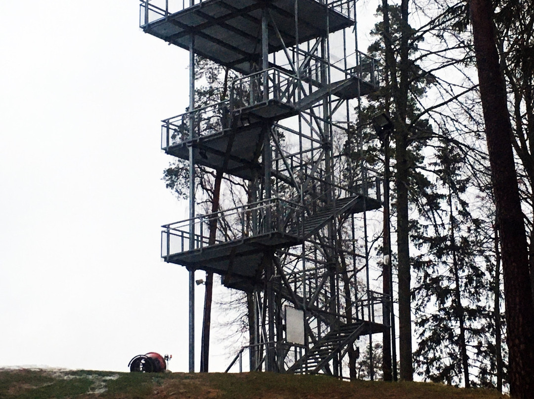 Riekstukalns Watchtower