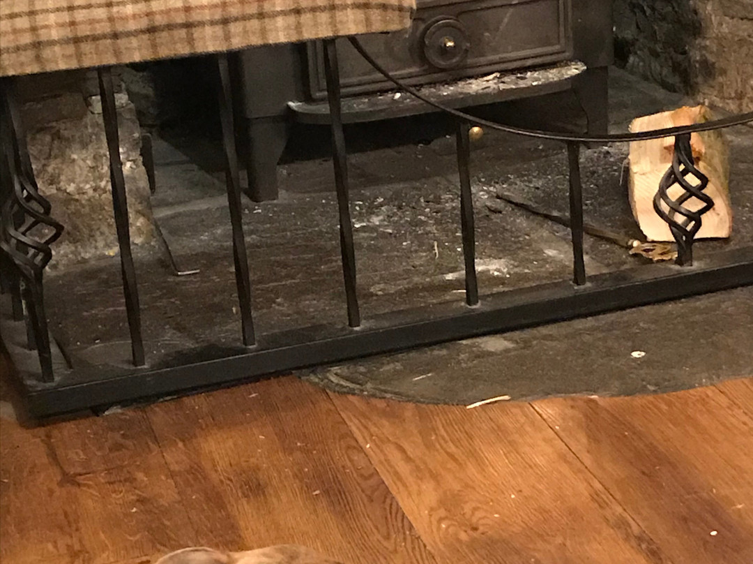 狐狸与猎犬酒店主图