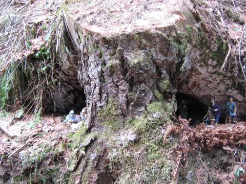Presepi Nel Bosco-Ziano di Fiemme必去景点