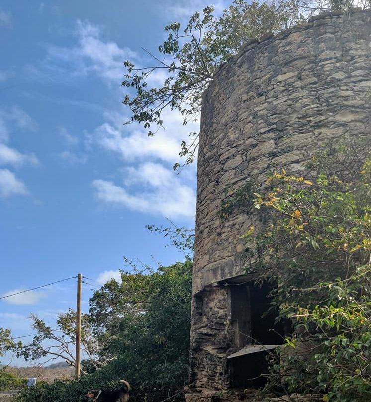 Windmill Belair景点图片