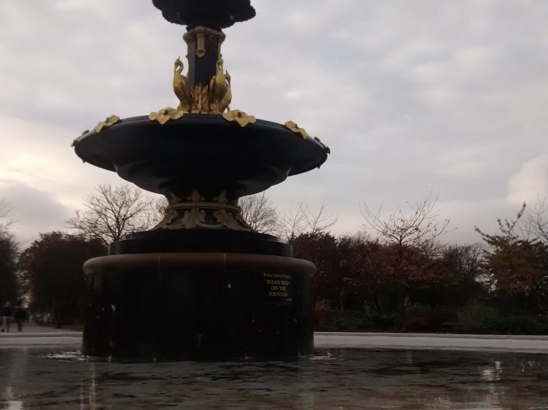 Albert Park景点图片
