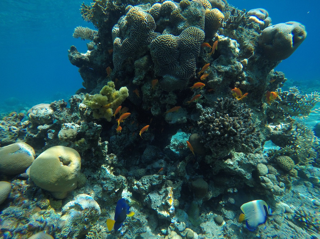 Migdalor Beach-埃拉特必去景点