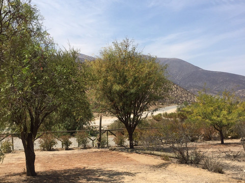 Reserva Nacional Las Chinchillas-Illapel必去景点