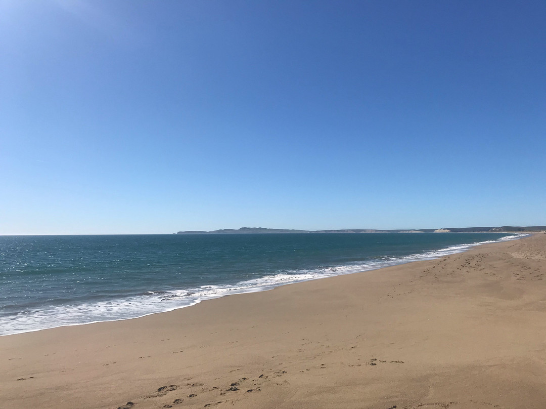 Limantour Beach景点图片