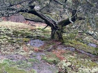 Forty Acre Rock-Kershaw必去景点