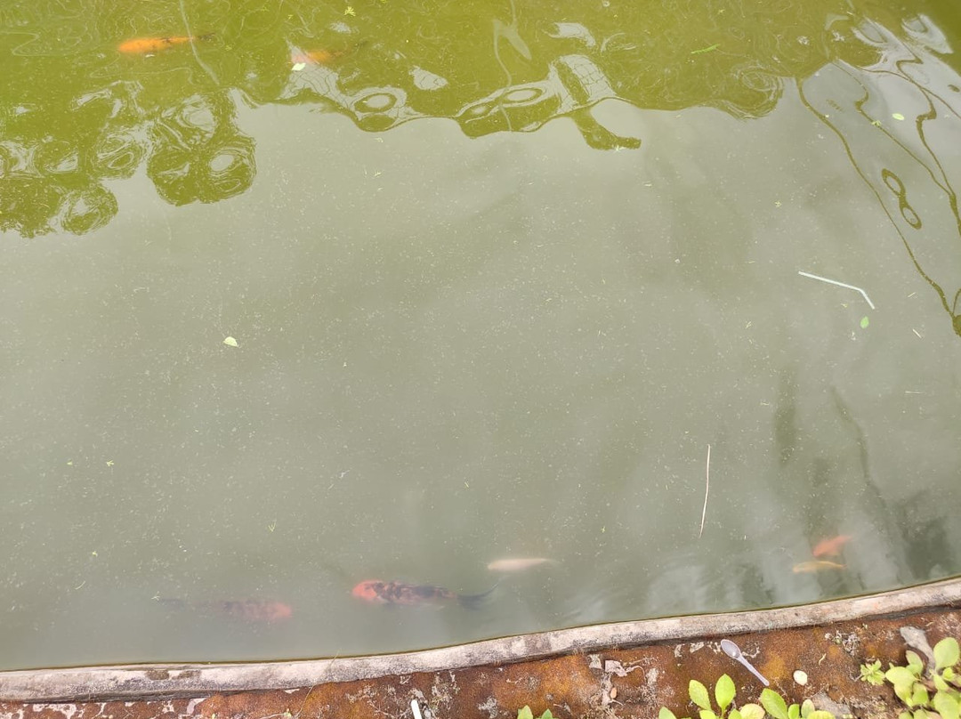 Kanthanpara Waterfall景点图片