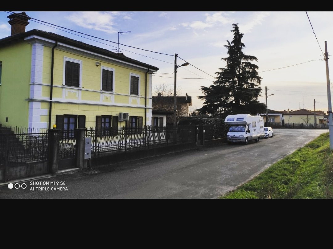 IL Cedro