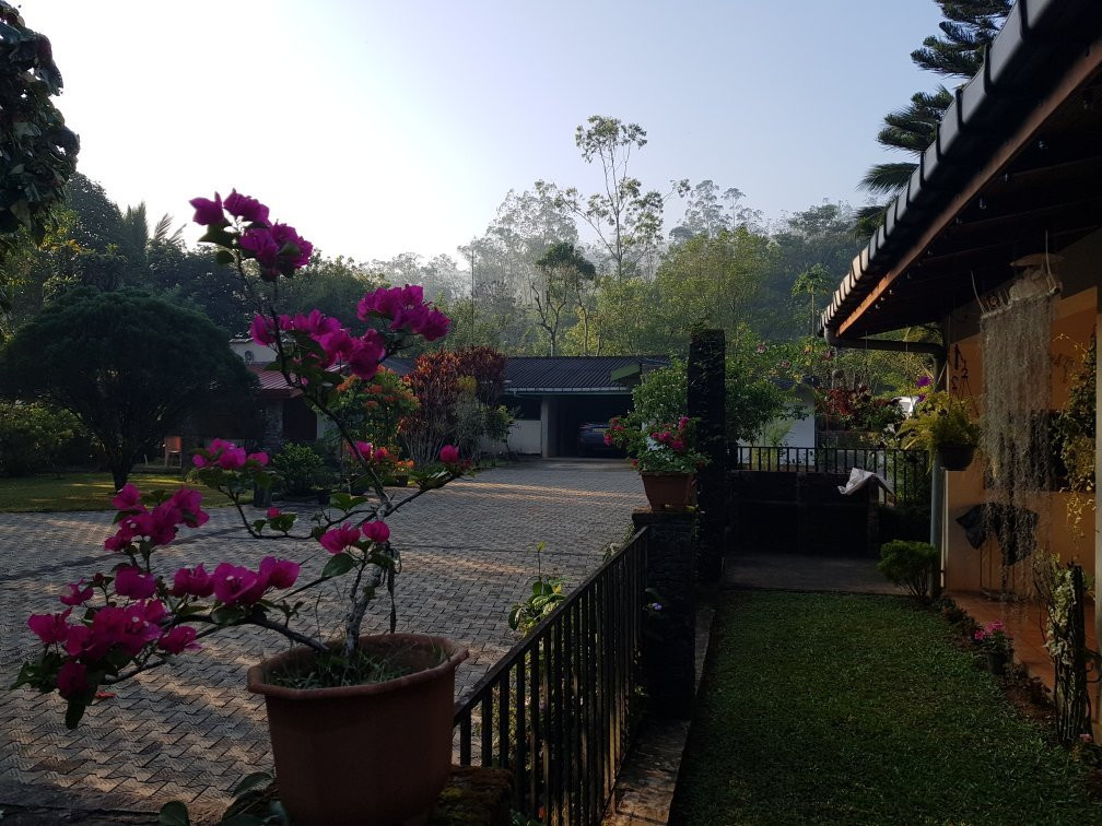 Ebony Springs Specialty Teas and Home Stay Accommodation主图