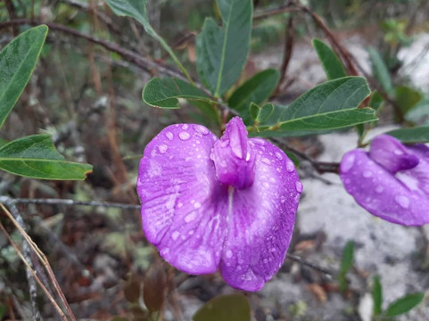 Gruta do Funil-Rio Preto必去景点