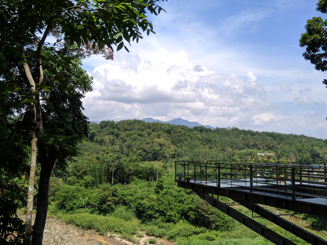 Kyai Langgeng Park景点图片