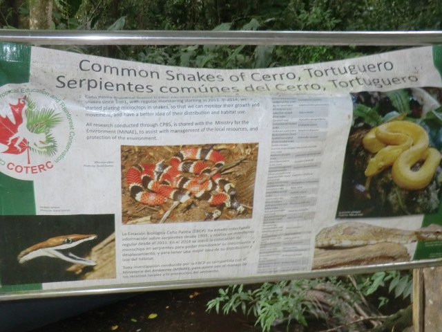 Sendero Cerro Tortuguero景点图片