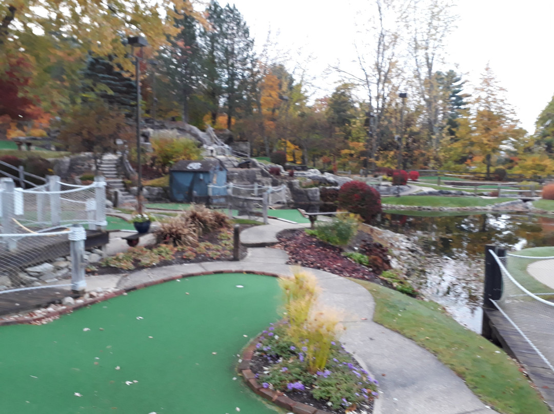 Comfort Inn & Suites North - Conway主图