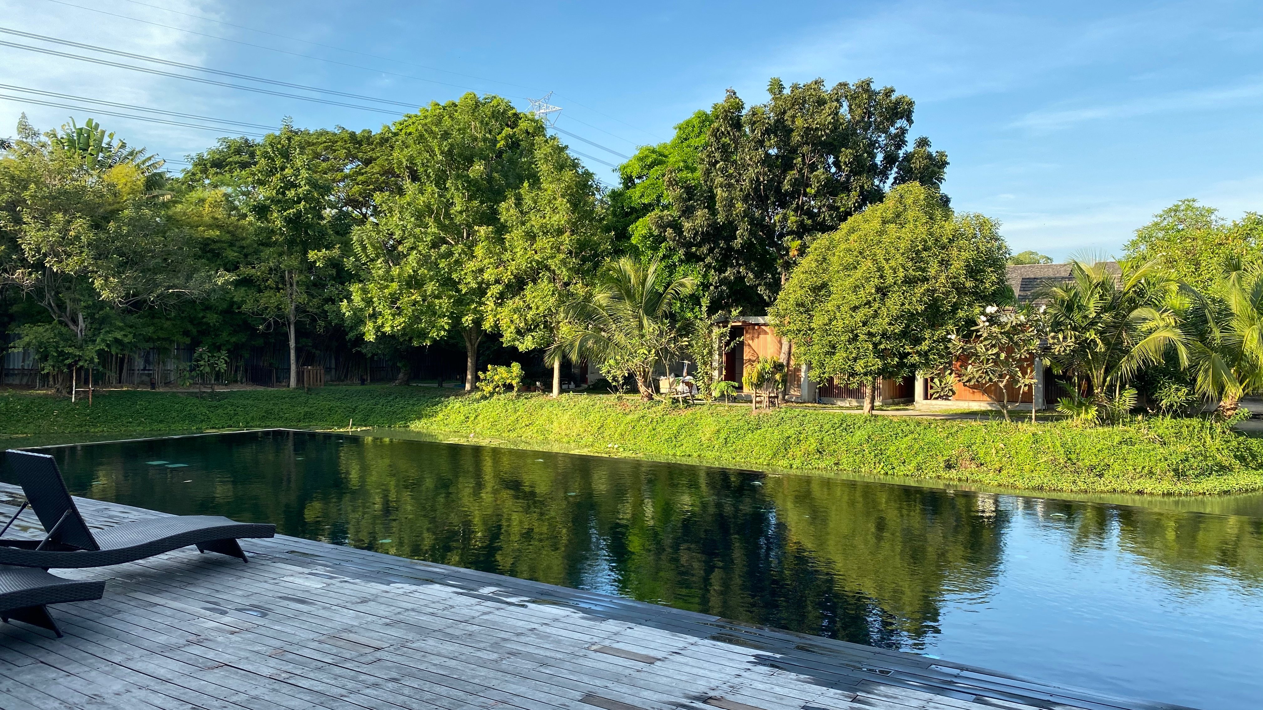 Into The Forest Resort-泳池