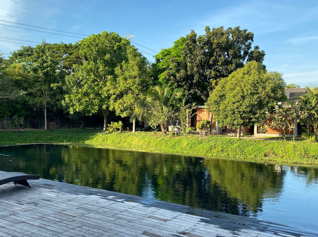 Into The Forest Resort主图