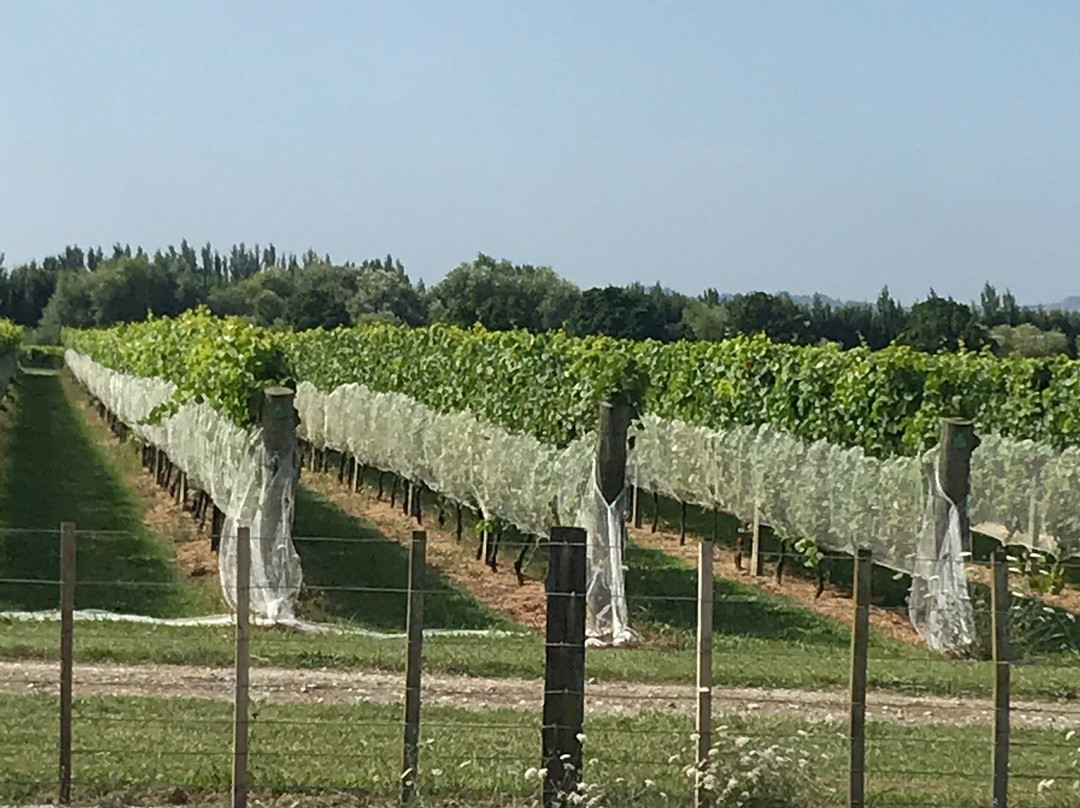 Gisborne Wine Centre景点图片