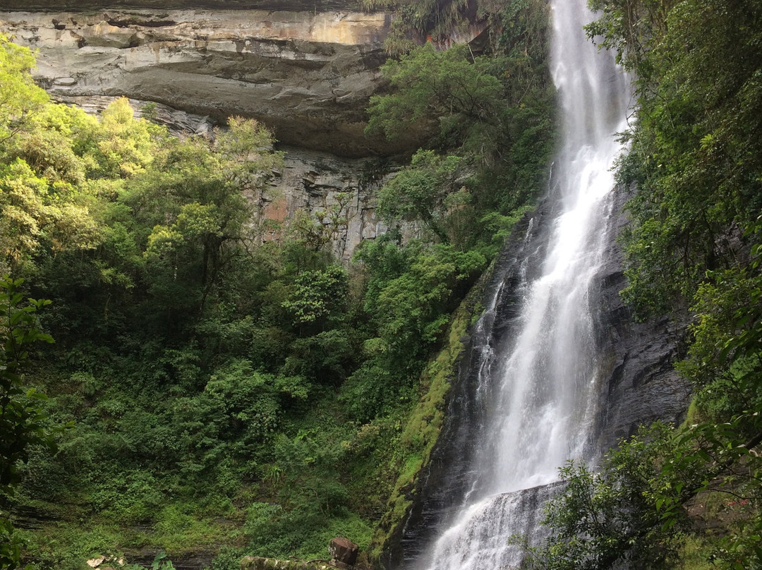 Cachoeira Salto do Zinco-Benedito Novo必去景点