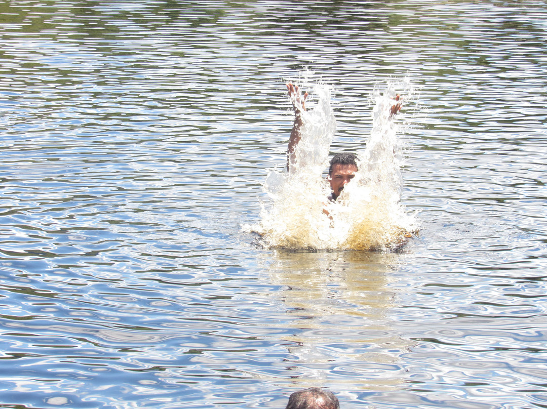 Reserva Natural Rolinha-do-Planalto-Botumirim必去景点