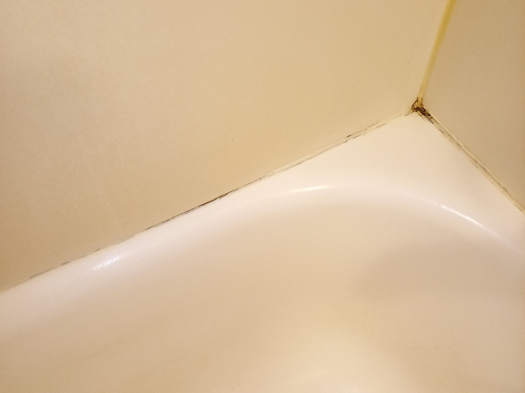 Americas Best Value Inn Bowie主图