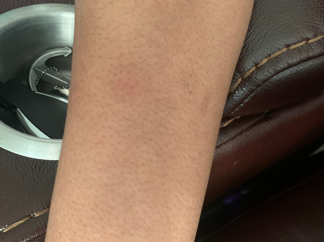 HOM Hotel Gainesville, SureStay Collection by Best Western主图