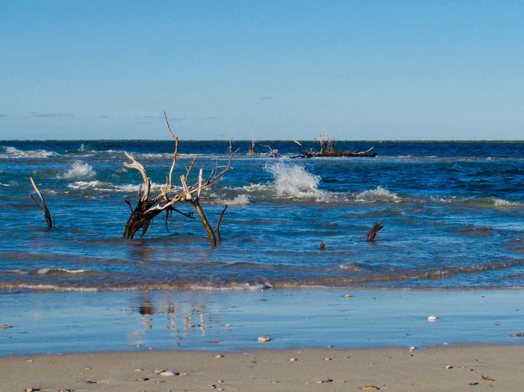 Low Bay-巴布达必去景点