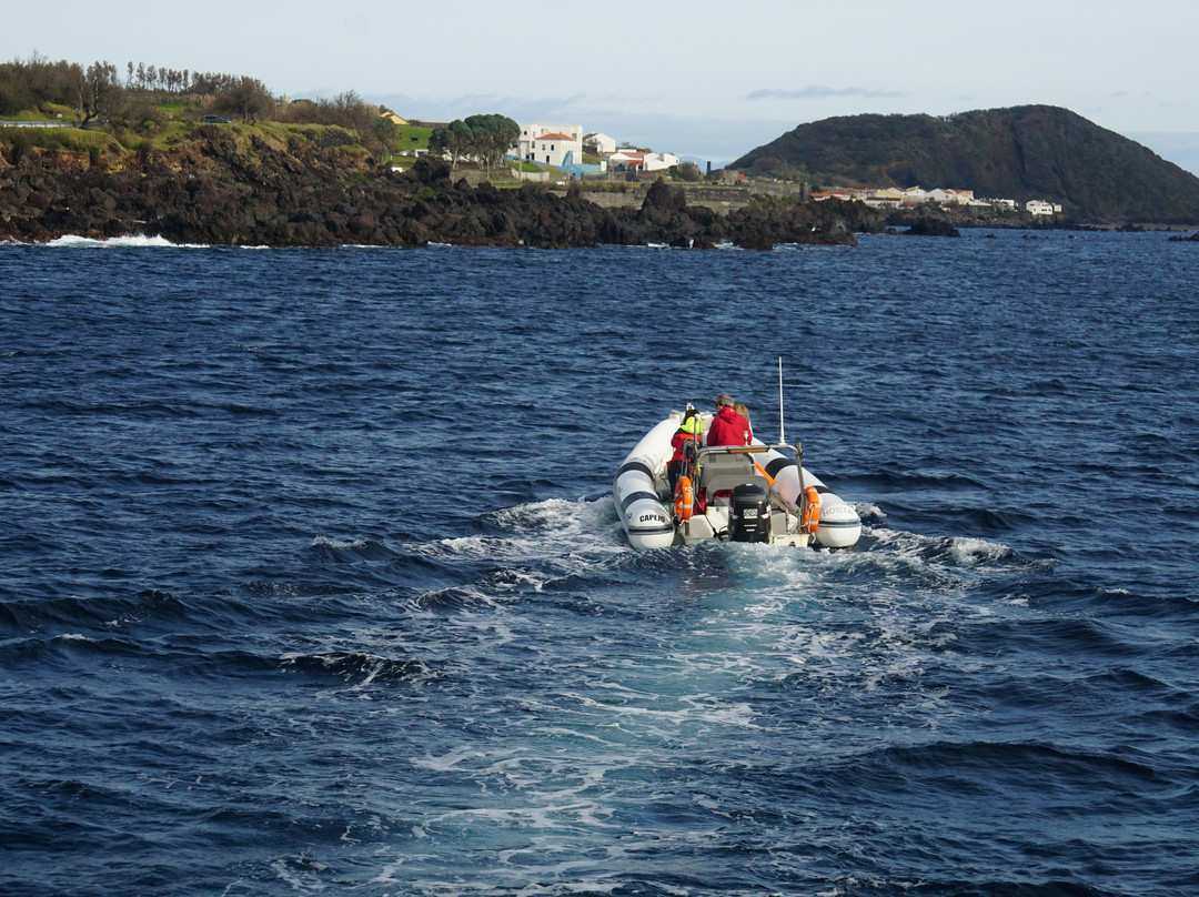Aerohorta-Faial Island必去景点