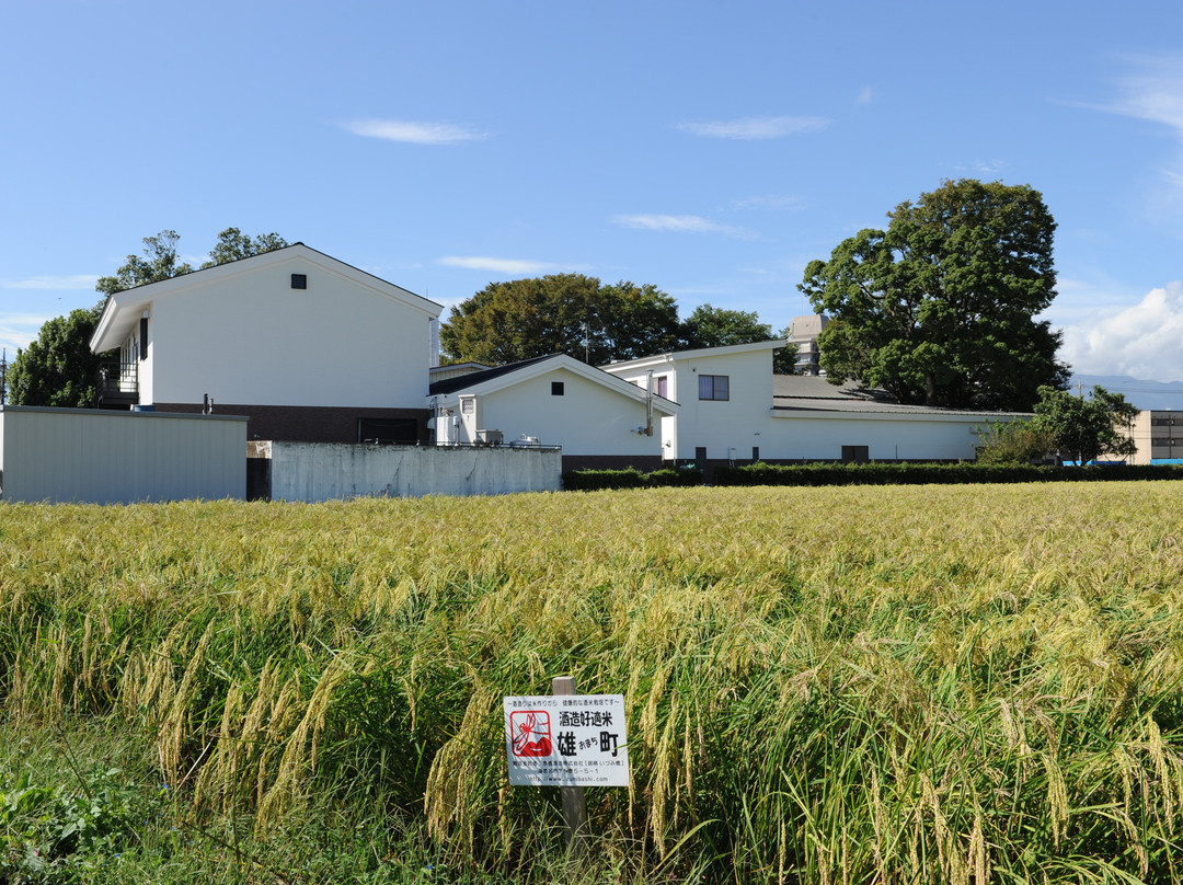 Izumibashi Sake Brewery景点图片