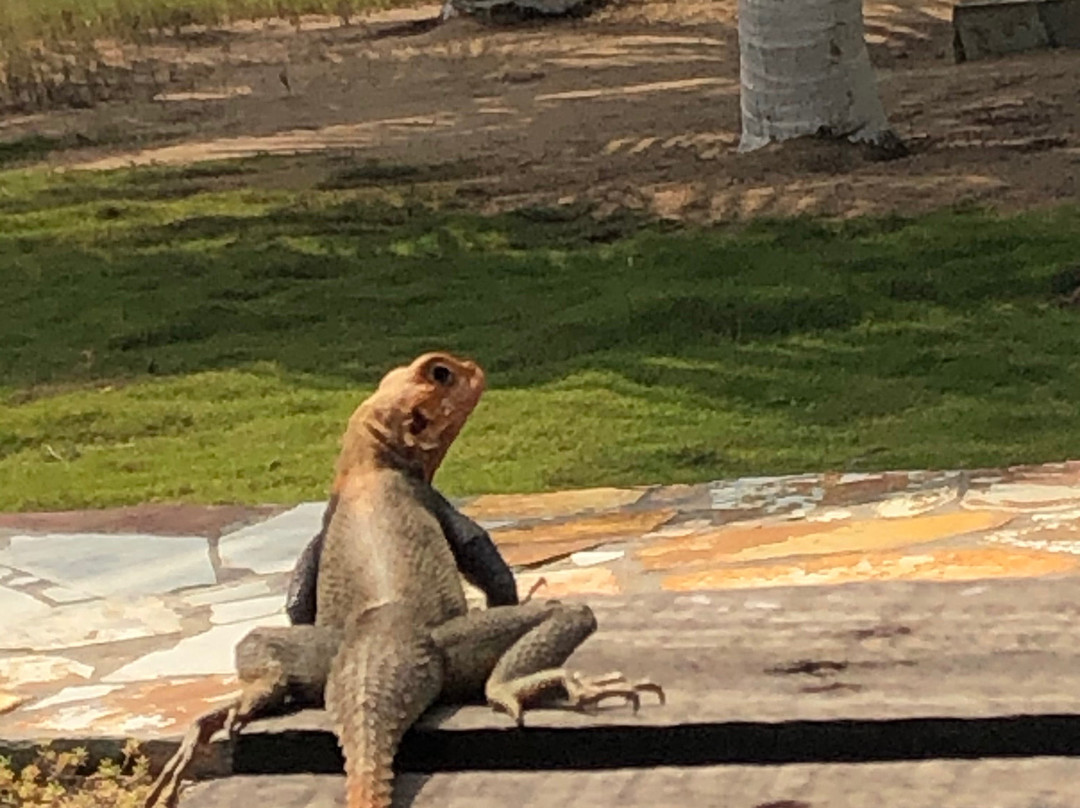 Fantas Folly Beach Lodge主图