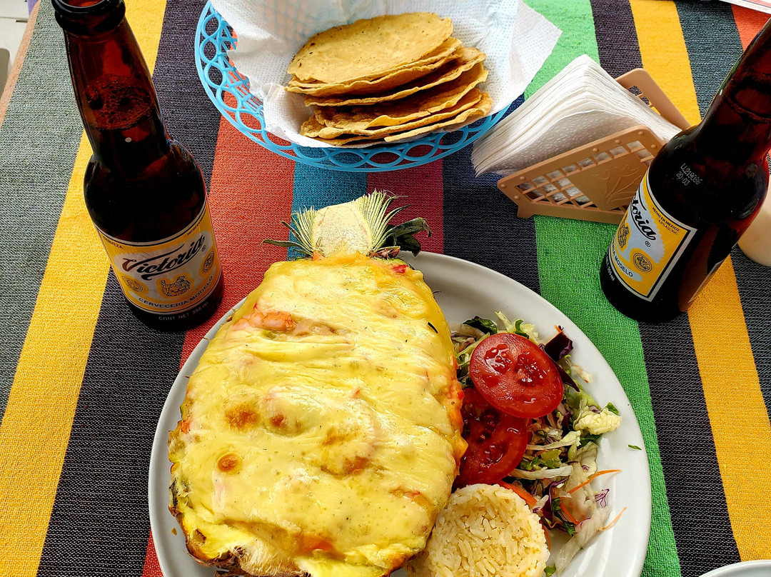 Fishing with Pulpo-瓦图尔科必去景点