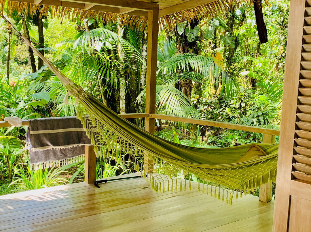 Golfo Dulce Retreat主图