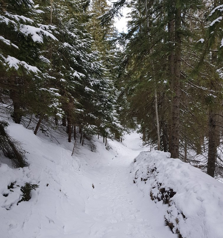 Wielki Kopieniec-扎科帕内必去景点