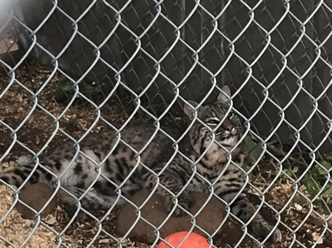 The Barry R. Kirshner Wildlife Foundation景点图片