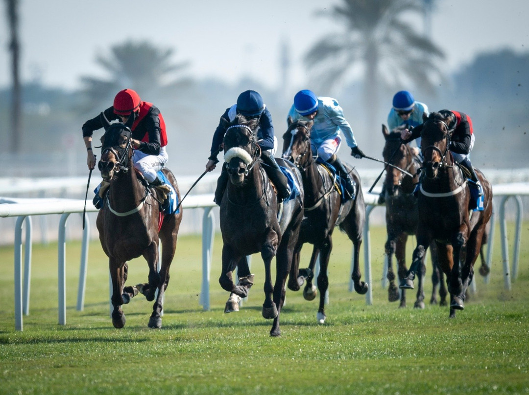 Rashid Equestrian & Horseracing Club-Riffa必去景点