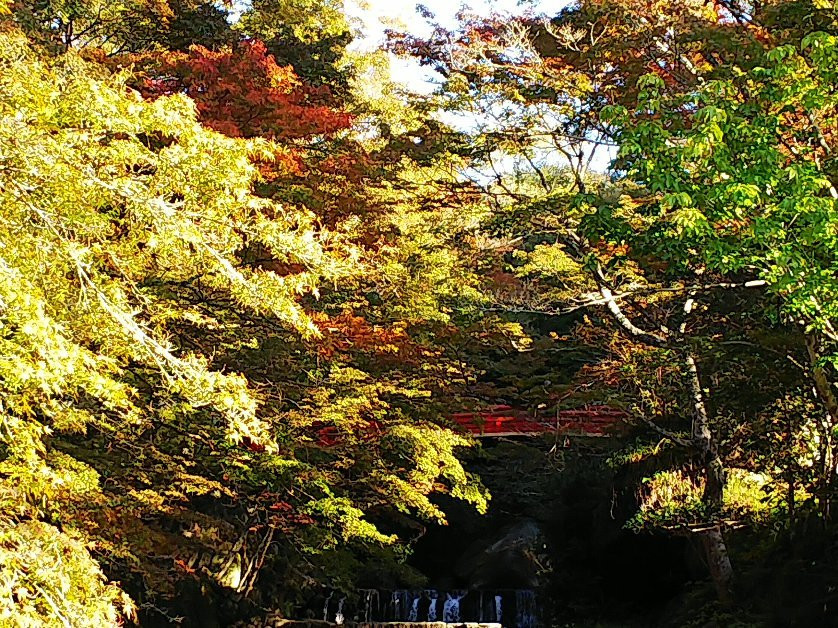 Iwayado Park景点图片