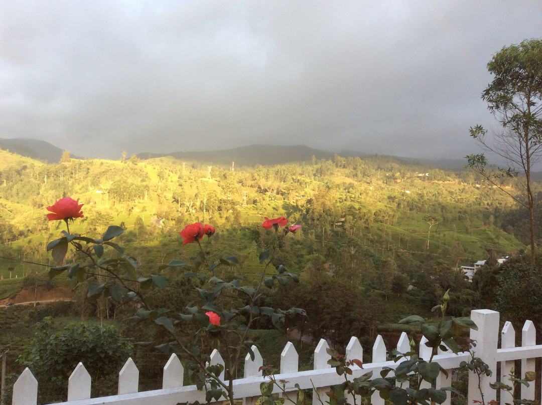 阿马亚兰达乐酒店主图