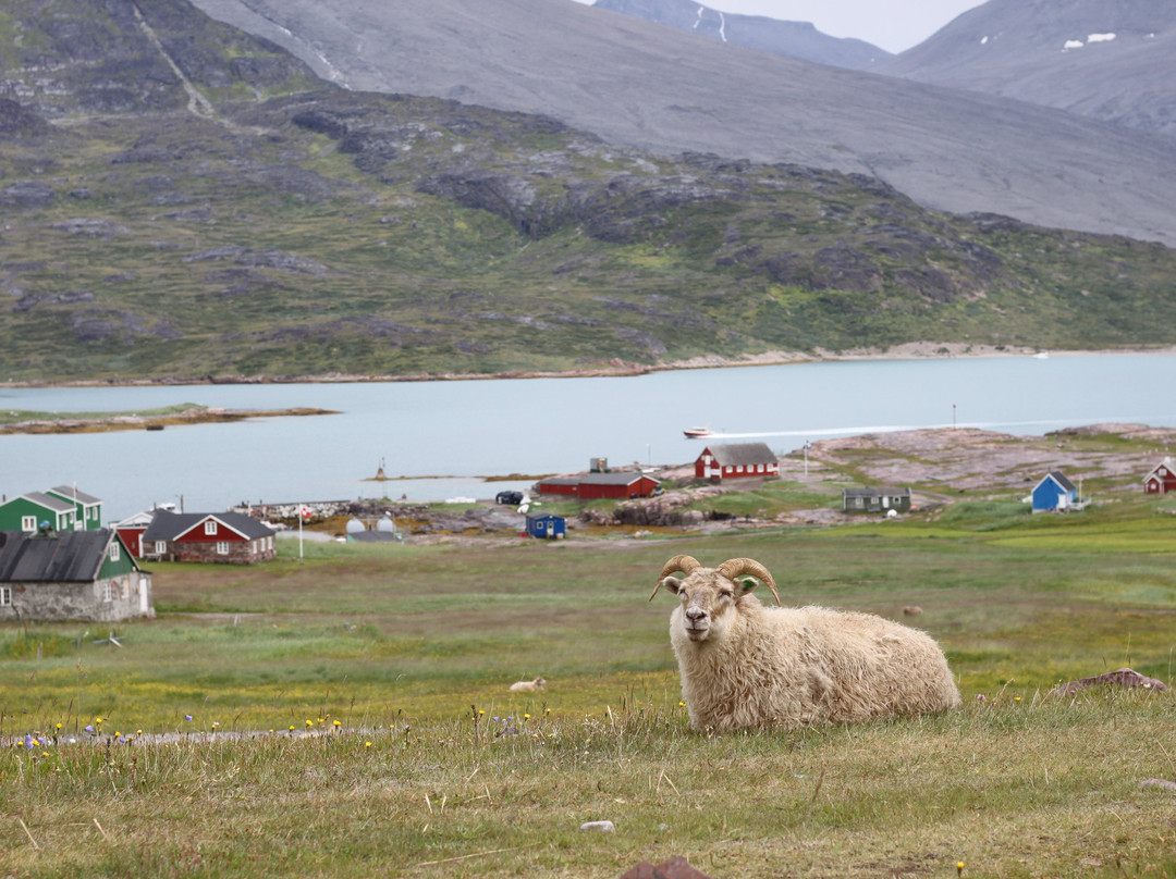 Igaliku Country Hotel & Lodges主图