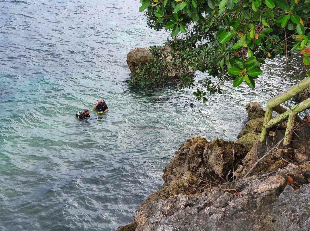 Divers Community Club-塔拉瓦环礁必去景点