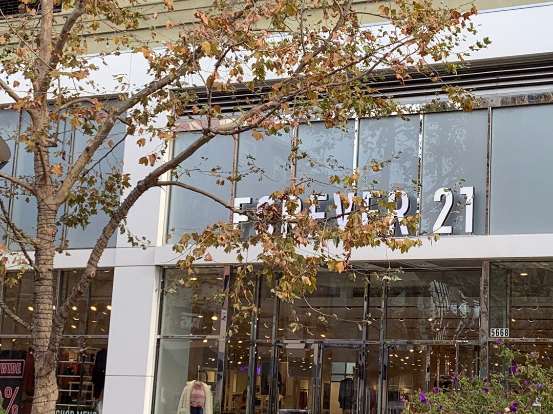 Bay Street-埃默里维尔必去景点