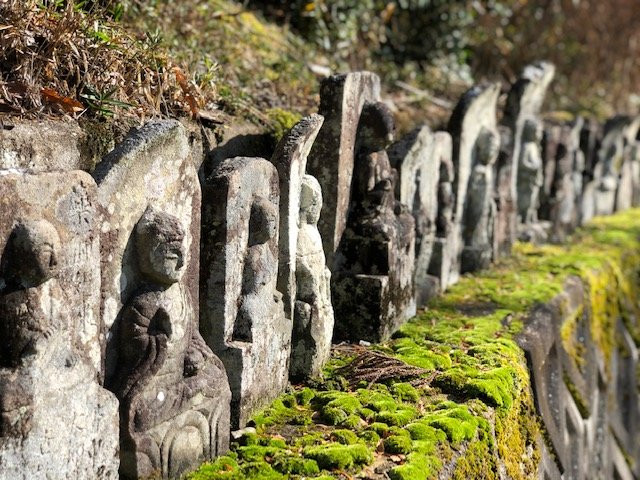 Kozanji Temple-丹波市必去景点