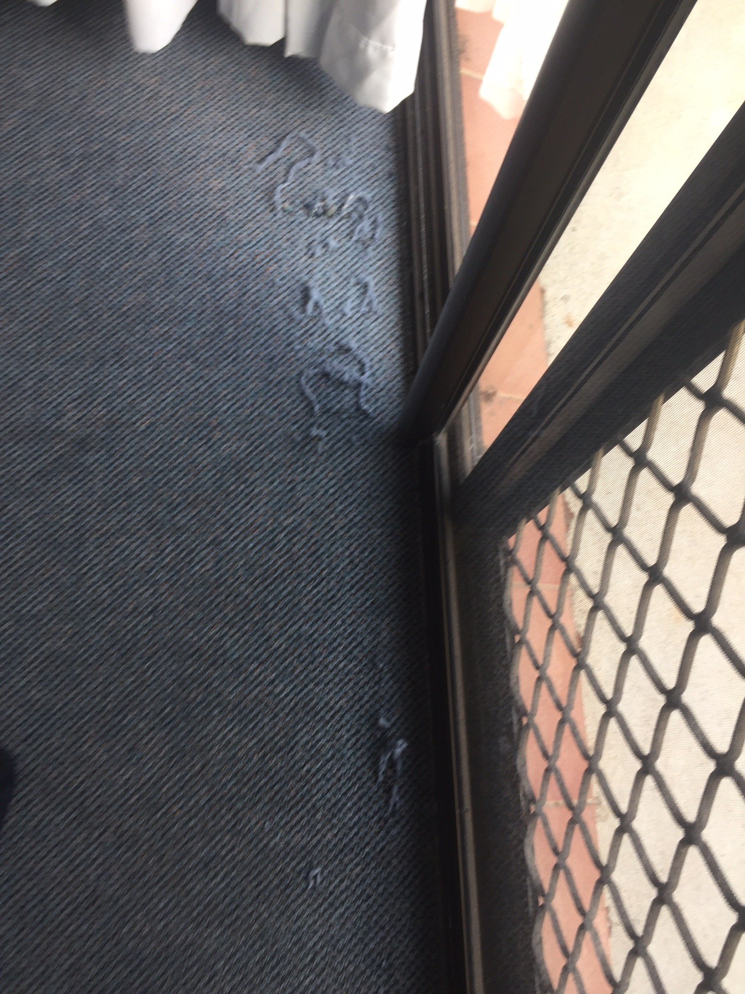 Macquarie Barracks Motor Inn-官方