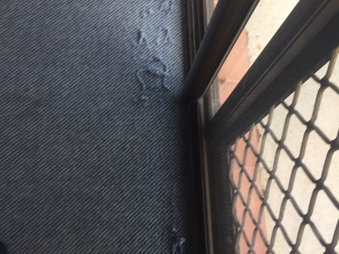 Macquarie Barracks Motor Inn主图