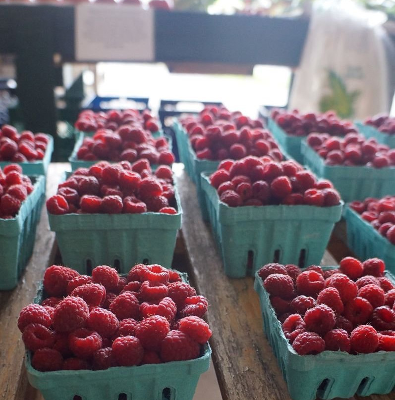 Heyser Farms-银泉必去景点