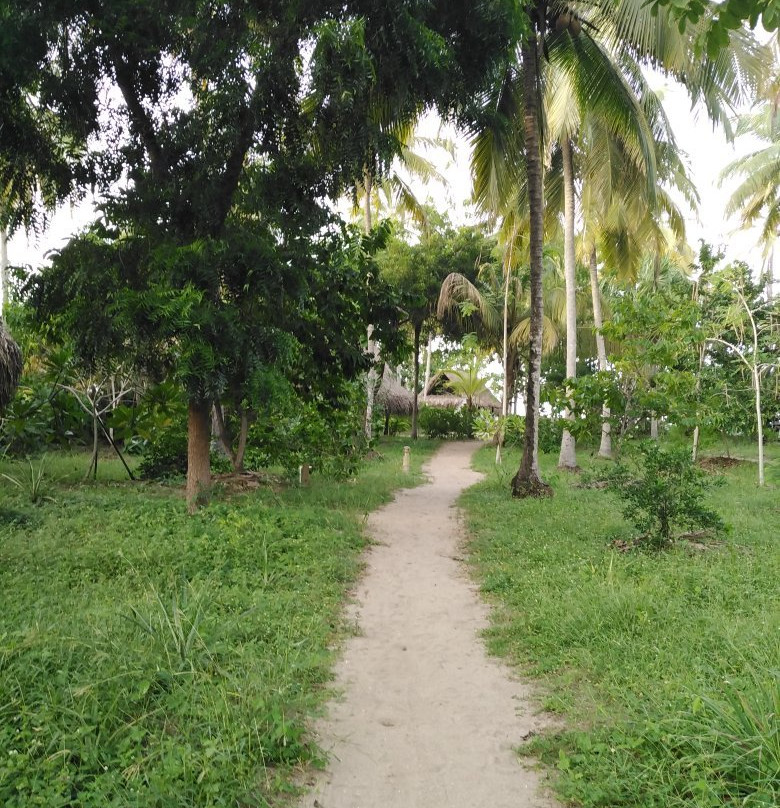 La Sirena Nature Retreat主图